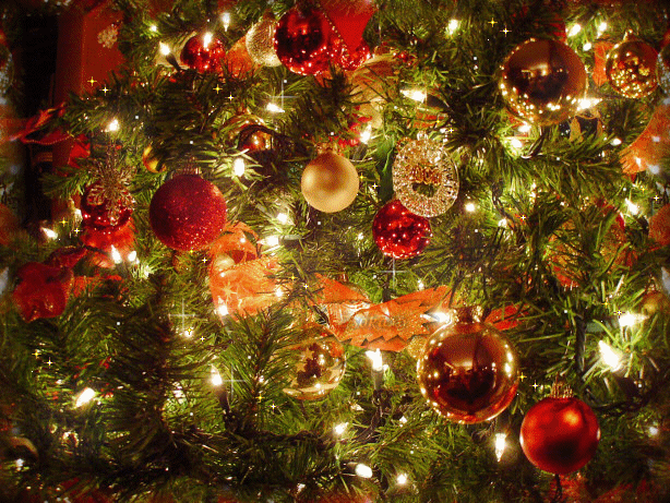 udayjot christmas tree 2619