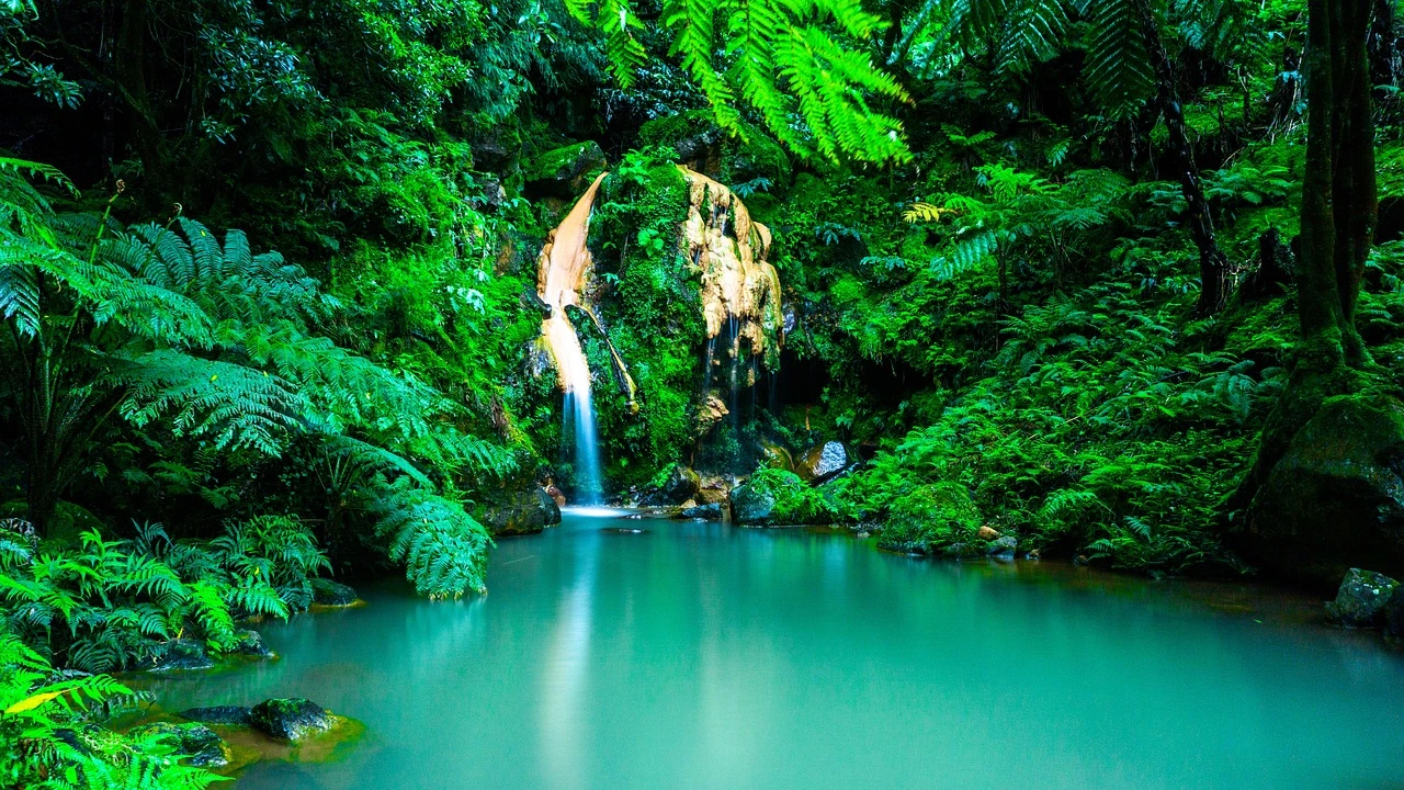 https://www.playayciudad.com/viajes/assets/upload/d1855.webp