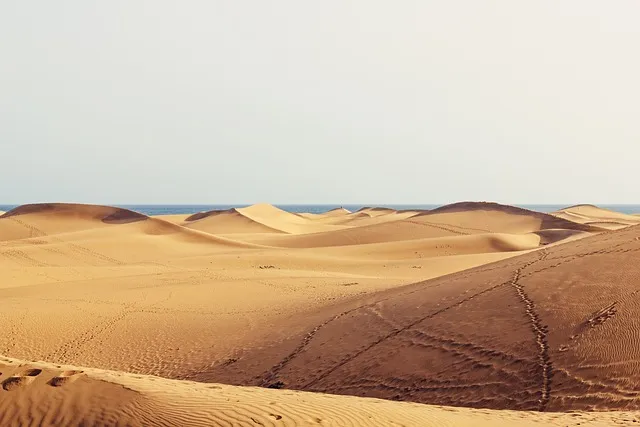 https://www.playayciudad.com/viajes/assets/upload/d31.webp