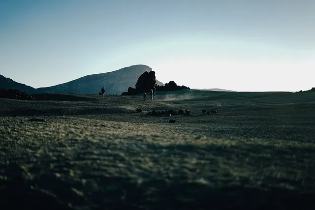 https://www.playayciudad.com/viajes/assets/upload/d53.webp