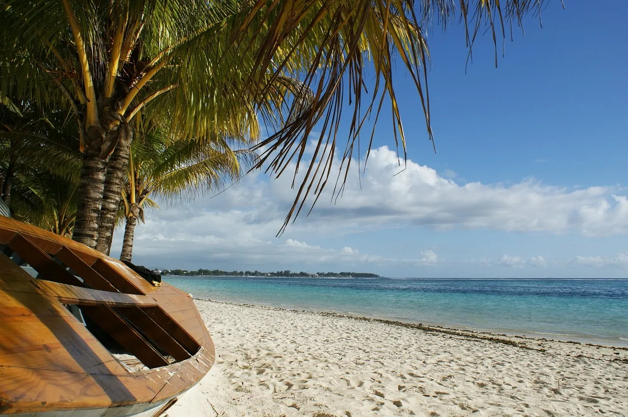 https://www.playayciudad.com/viajes/assets/upload/p100.webp
