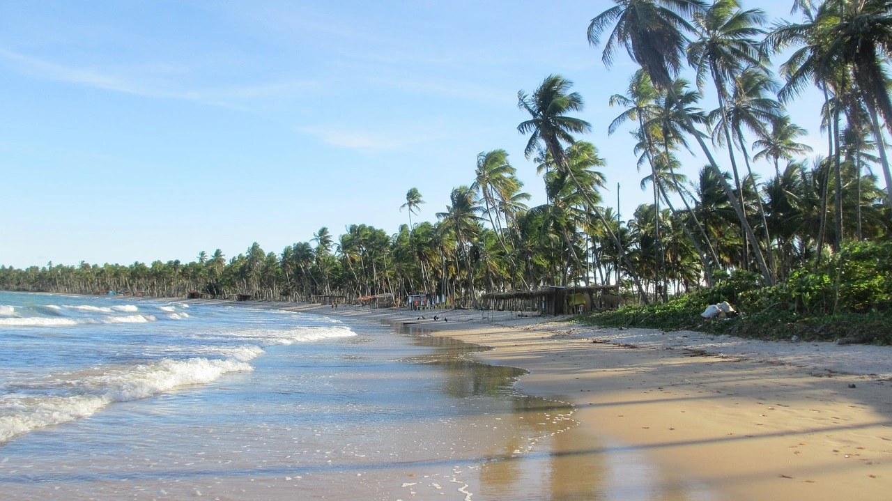 https://www.playayciudad.com/viajes/assets/upload/p30.webp